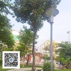 49.ND - Cây Phong Linh - Loại 1