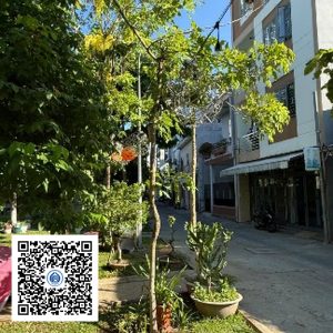 109.TĐH - Osaka vàng - Loại 1