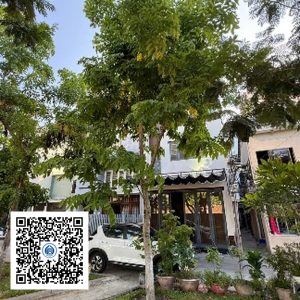 112.TĐH - Osaka vàng - Loại 1