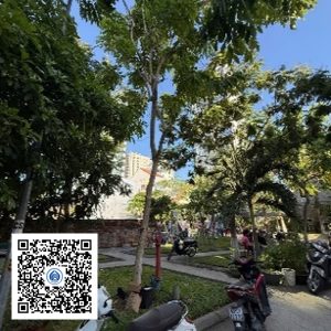 116.TĐH - Osaka vàng - Loại 1