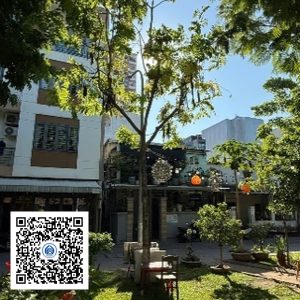 117.TĐH - Osaka vàng - Loại 1
