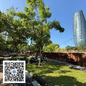 120.TĐH - Osaka vàng - Loại 1