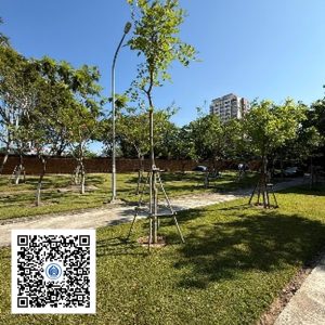 121.TĐH - Osaka vàng - Loại 1