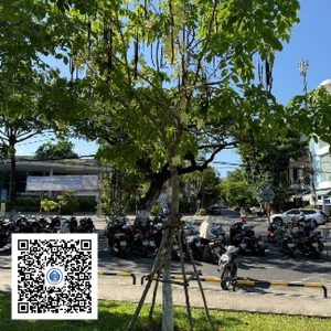 124.TĐH - Osaka vàng - Loại 1