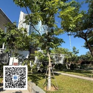 138.TĐH - Osaka vàng - Loại 1