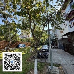 15.TĐH - Móng bò - Loại 1