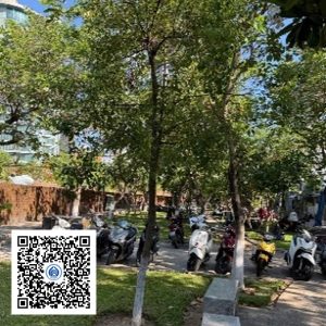 155.TĐH - Long não - Loại 1