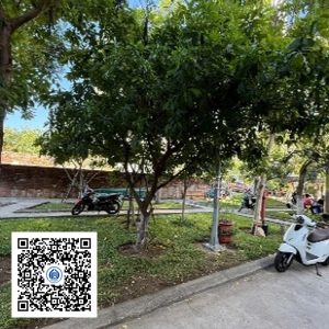 161.TĐH - Lộc vừng - Loại 2