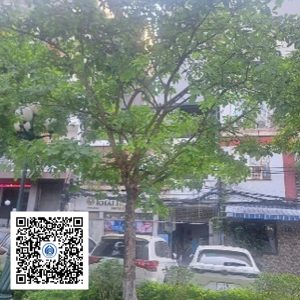 2.PKB - Cây Lộc vừng - Loại 2