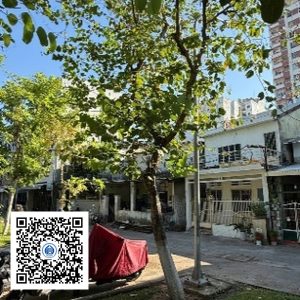 32.TĐH - Móng bò - Loại 1