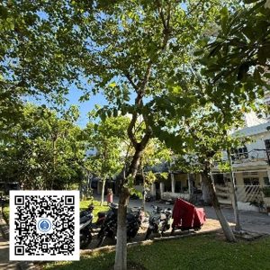 33.TĐH - Móng bò - Loại 1