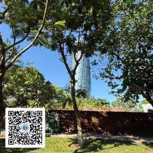 34.TĐH - Lim xẹt - Loại 1