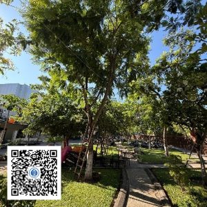 42.TĐH - Lim xẹt - Loại 1
