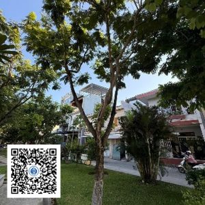 43.TĐH - Lim xẹt - Loại 1