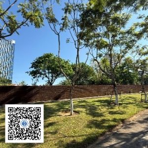52.TĐH - Lim xẹt - Loại 1