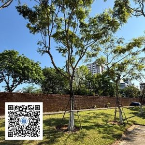 53.TĐH - Lim xẹt - Loại 1