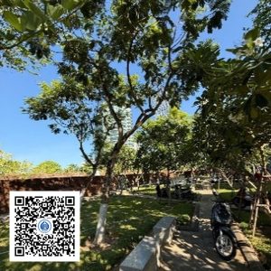 56.TĐH - Lim xẹt - Loại 1