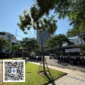 61.TĐH - Lim xẹt - Loại 1