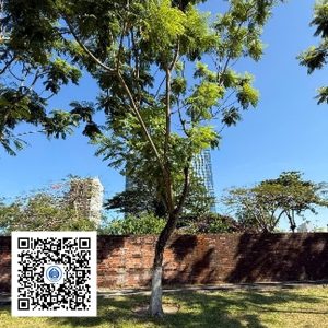 62.TĐH - Lim xẹt - Loại 1