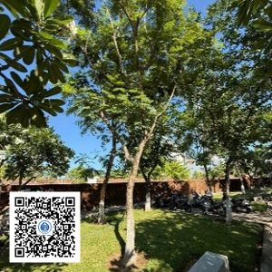 65.TĐH - Lim xẹt - Loại 1