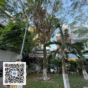 67.TĐH - Lim xẹt - Loại 2
