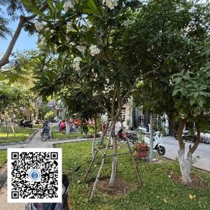 82.TĐH - Sứ trắng - Loại 1