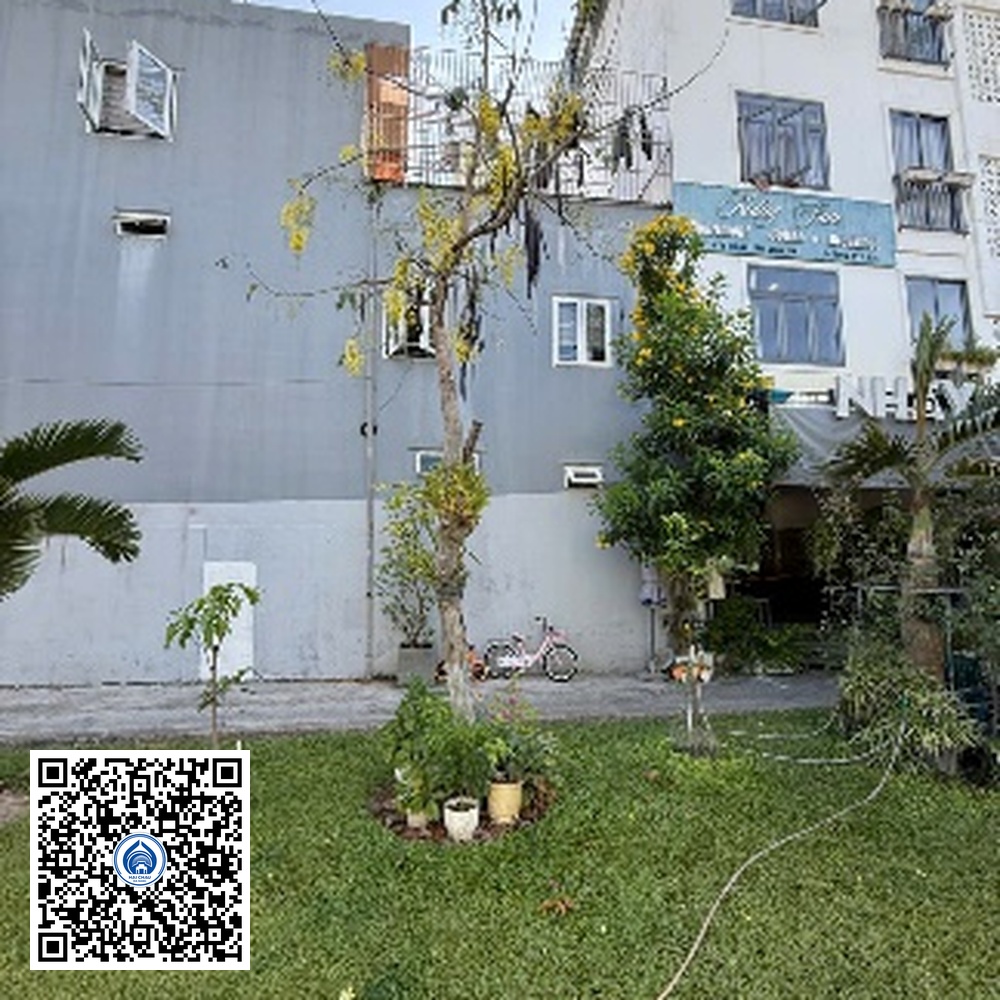 134.TĐH – Cây Osaka vàng – Loại 1
