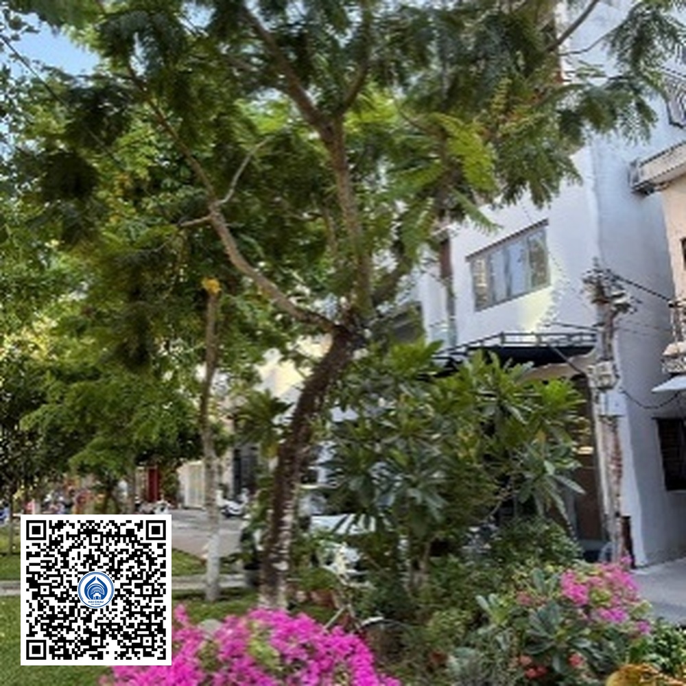 46.TĐH – Cây Lim xẹt – Loại 1