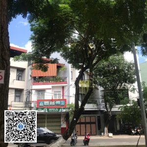 67.DR2 – Cây muồng tím