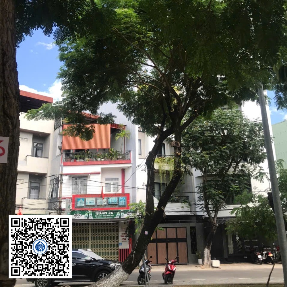 67.DR2 – Cây muồng tím