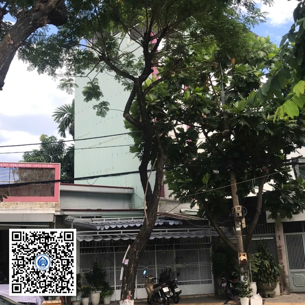 99.DR2 – Cây muồng tím